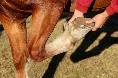 Man checking shoe on horse hoof outdoors, closeup. Pet care