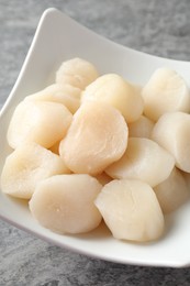 Fresh raw scallops in bowl on grey table, closeup