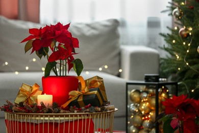 Photo of Potted poinsettia, burning candle and festive decor on coffee table in room, space for text. Christmas traditional flower