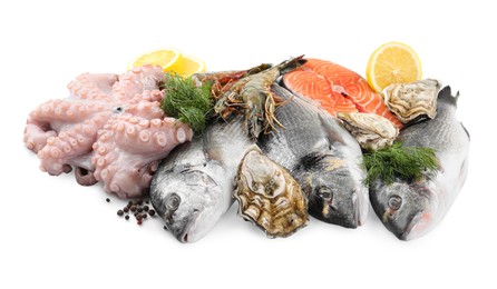 Photo of Fresh dorado fish, octopus, shrimps, oysters and salmon on white background