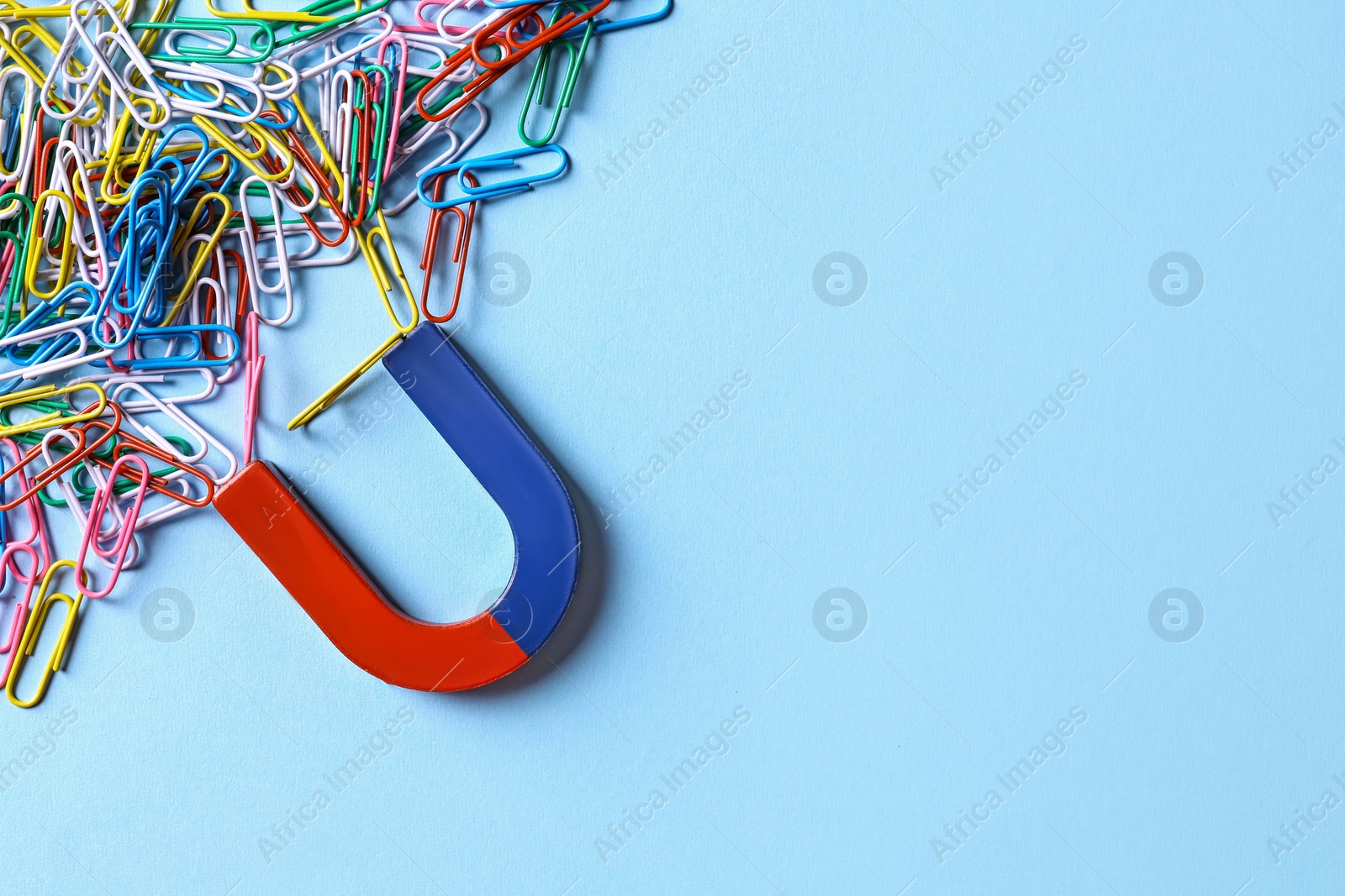 Photo of Red and blue horseshoe magnet attracting colorful paperclips on light blue background, flat lay. Space for text