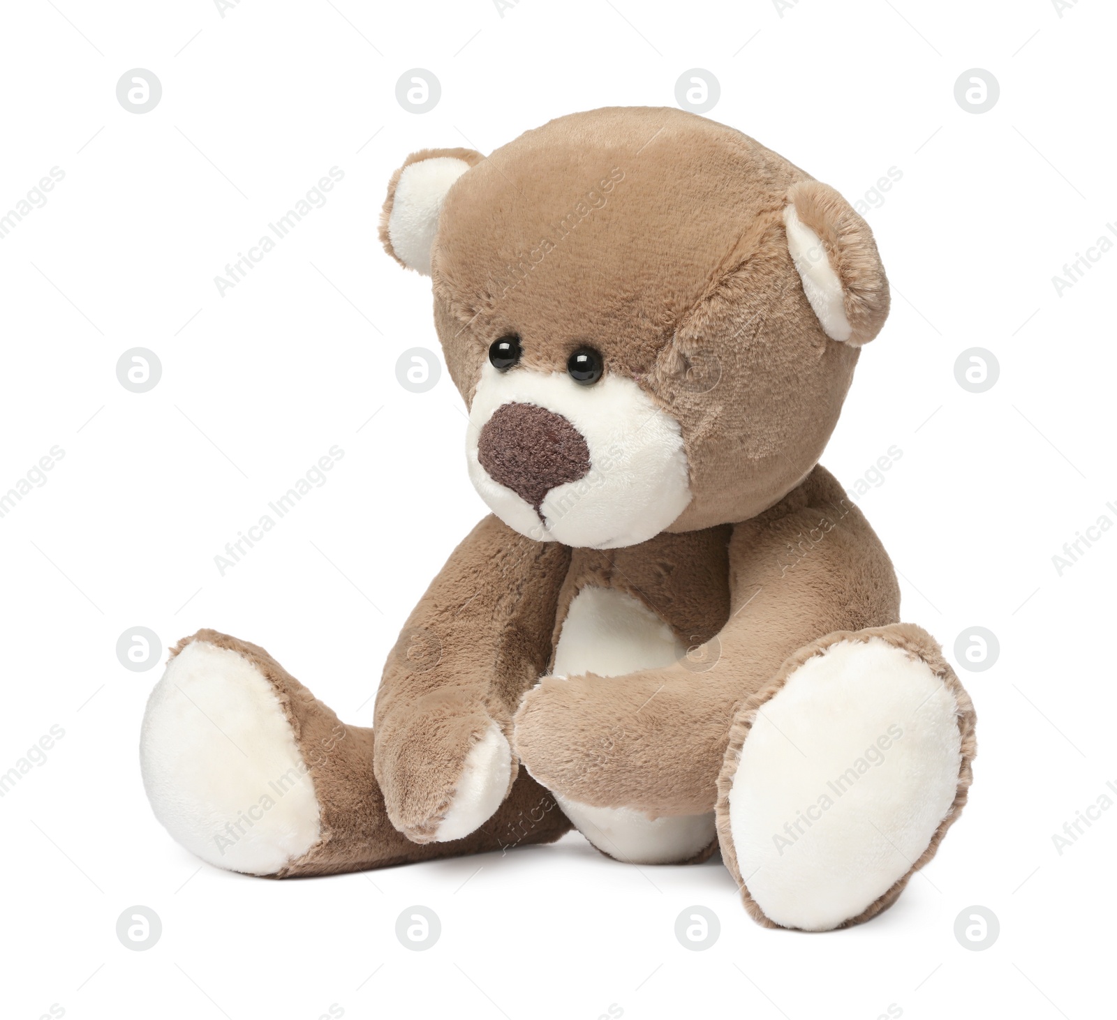 Photo of Cute teddy bear isolated on white. Child`s toy