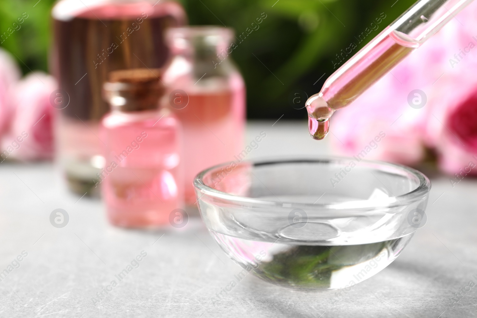 Photo of Dripping rose essential oil into bowl on table, space for text