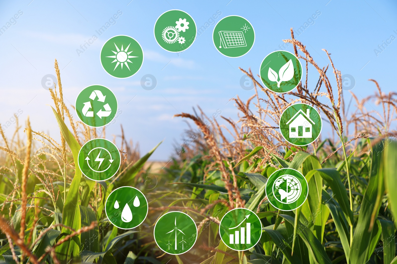 Image of Modern agriculture concept. Icons and field on background