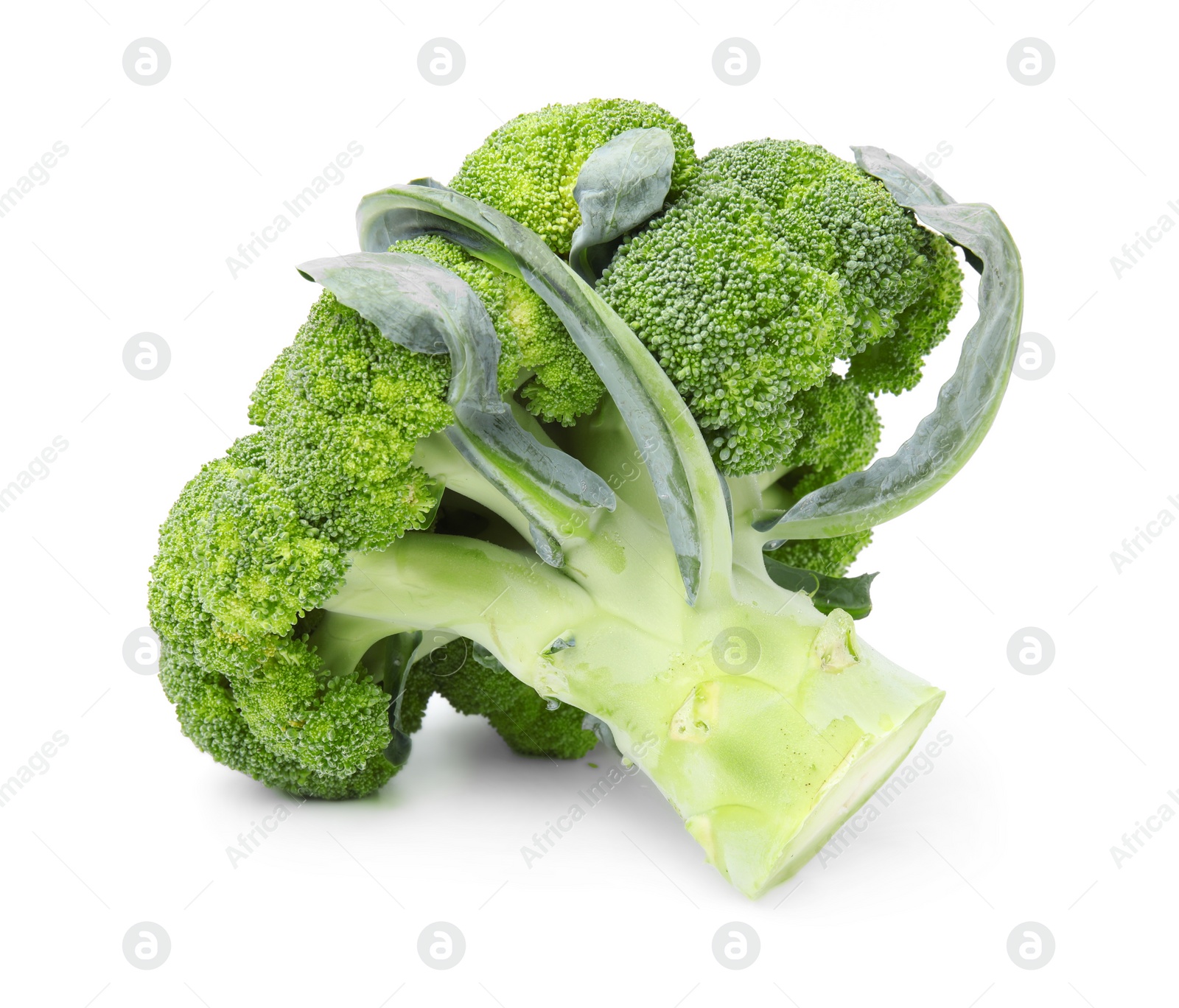 Photo of Fresh raw green broccoli isolated on white