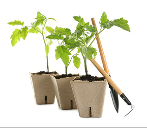 Photo of Gardening tools and green tomato seedlings in peat pots isolated on white