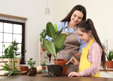 Mother and daughter taking care of plant at home