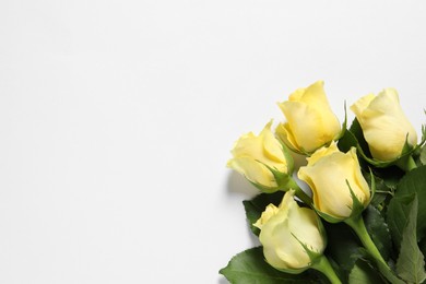 Beautiful yellow roses on white background, top view. Space for text