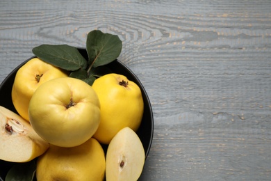 Fresh ripe organic quinces with leaves on grey wooden table, top view. Space for text