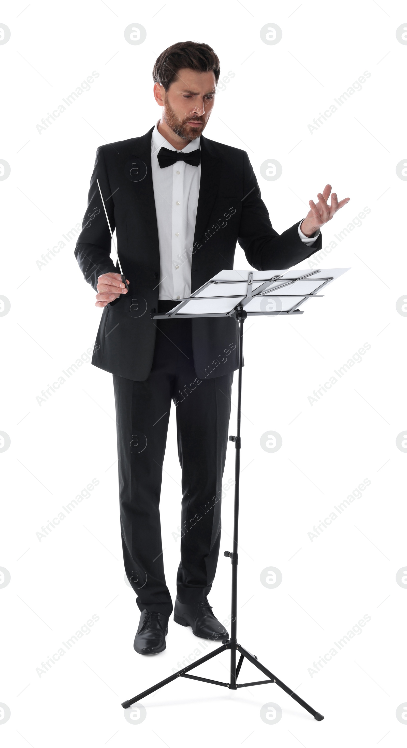 Photo of Professional conductor with baton and note stand on white background