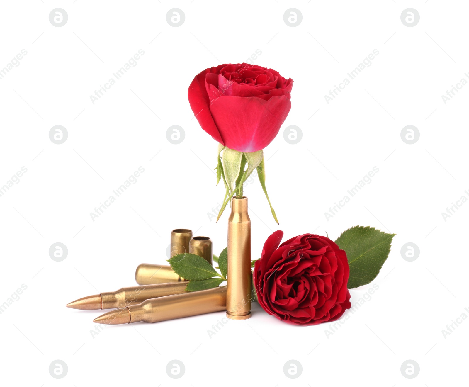 Photo of Bullets and cartridge cases with beautiful rose flowers isolated on white