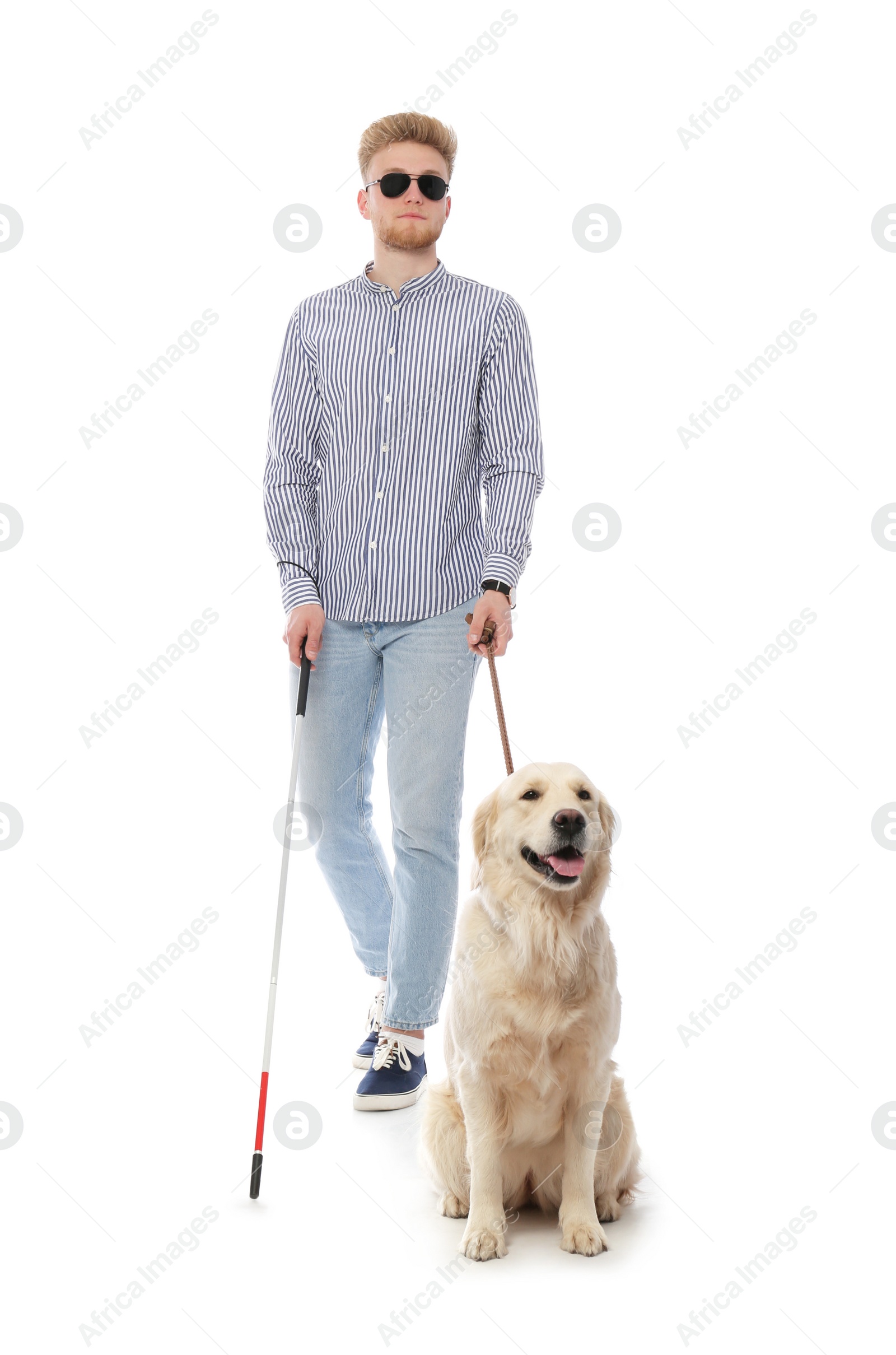 Photo of Blind person with long cane and guide dog on white background