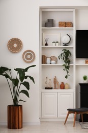 Stylish room interior with beautiful houseplant and shelves with decor