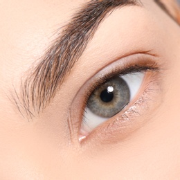 Beautiful woman with perfect eyebrows, closeup