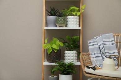 Beautiful houseplants on shelving unit near beige wall