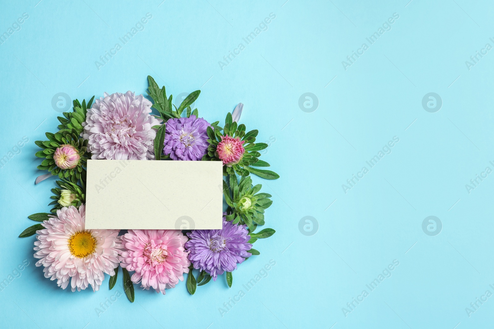 Photo of Beautiful aster flowers with sheet of paper on color background, top view. Space for text