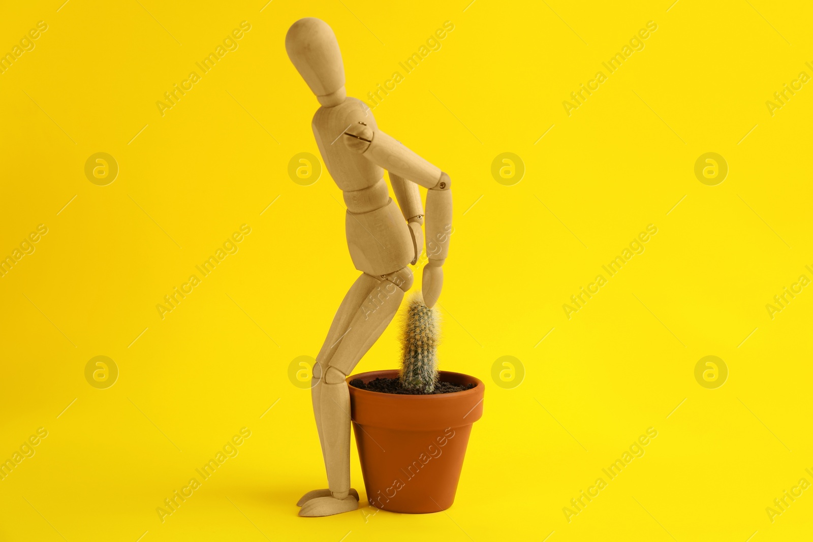 Photo of Wooden human figure and cactus on yellow background. Hemorrhoid problems