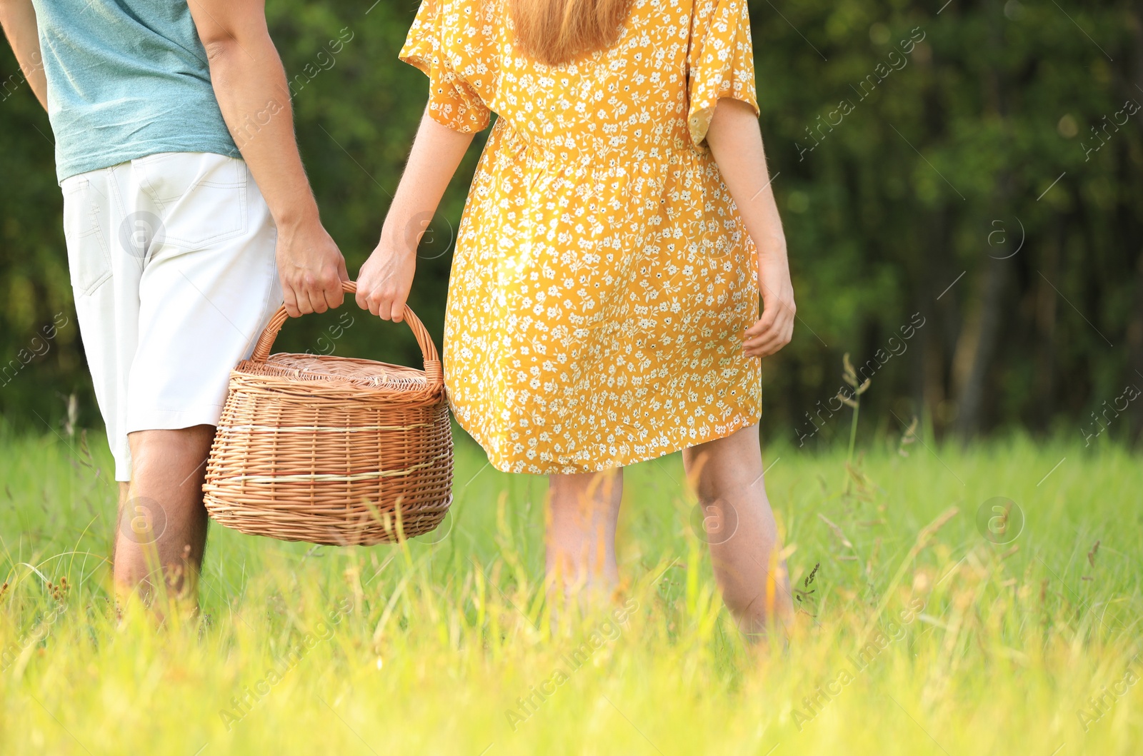 Photo of Young couple with picnic basket on green lawn