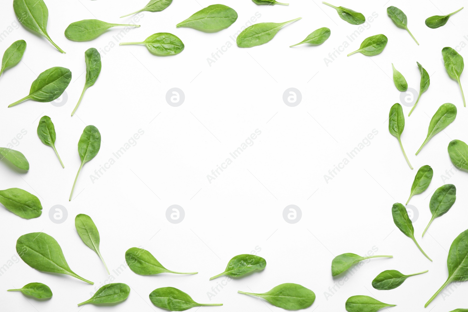 Photo of Frame of fresh green healthy spinach on white background, top view. Space for text