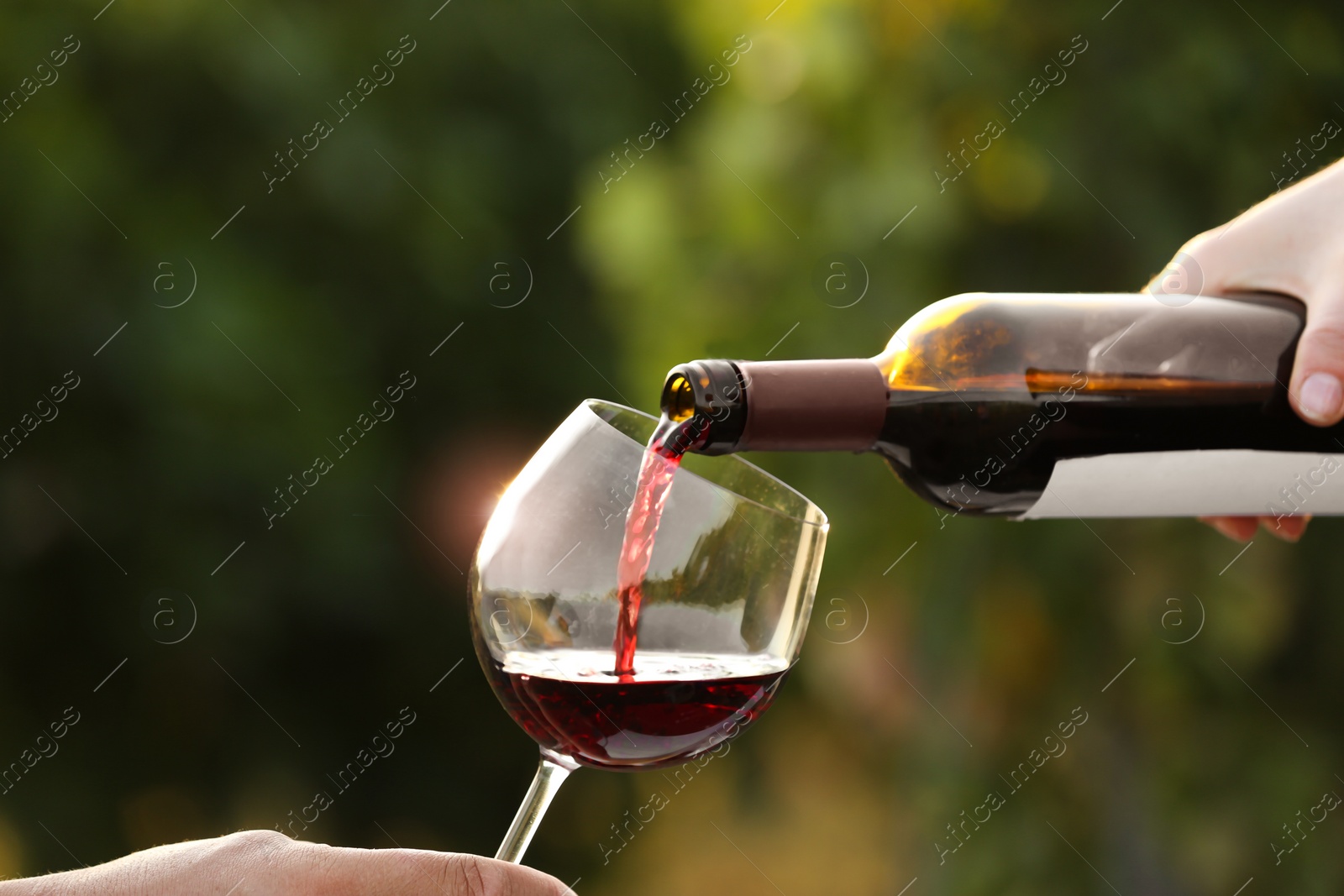 Photo of Woman pouring wine from bottle into glass outdoors, closeup