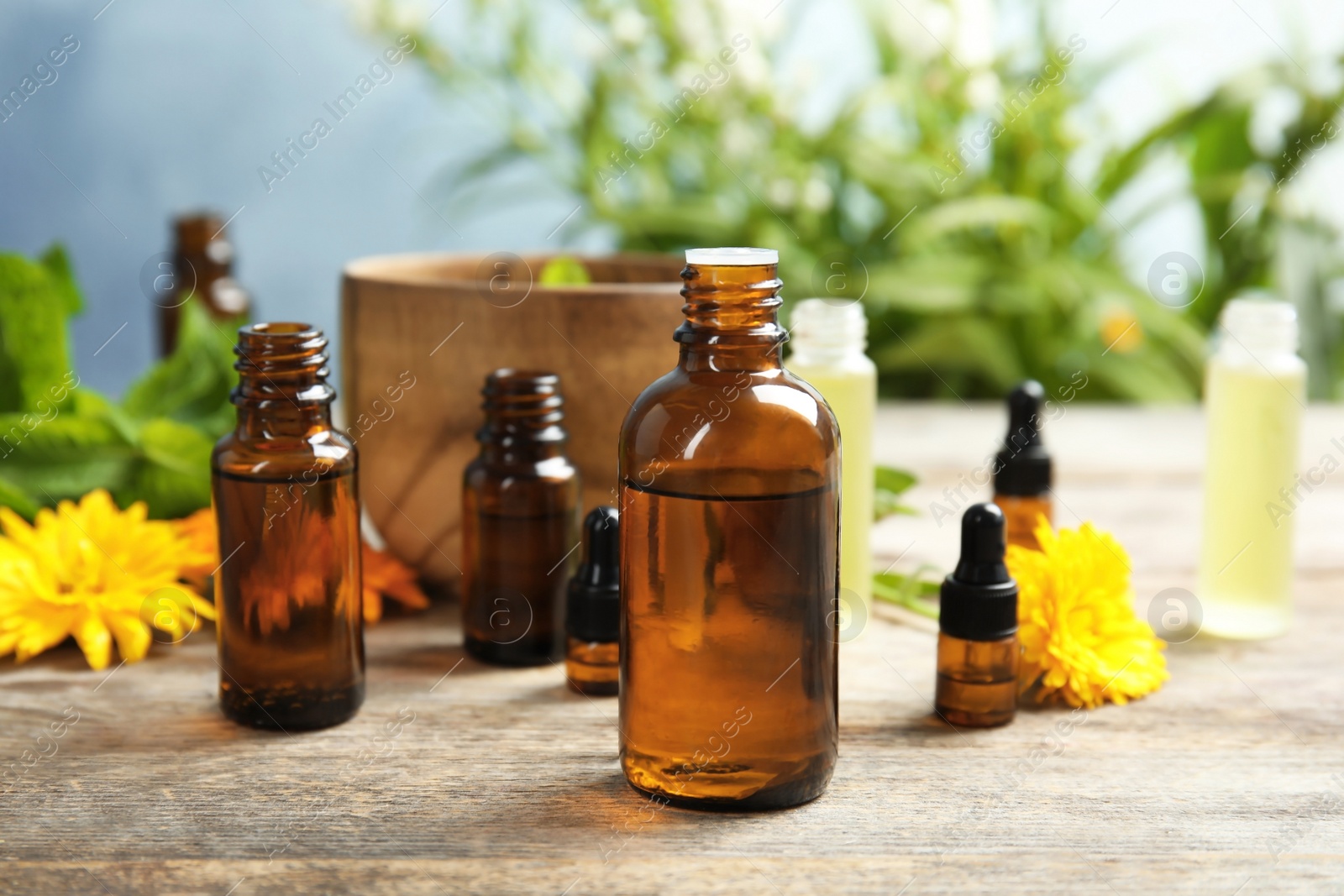 Photo of Composition with essential oils and plants on table