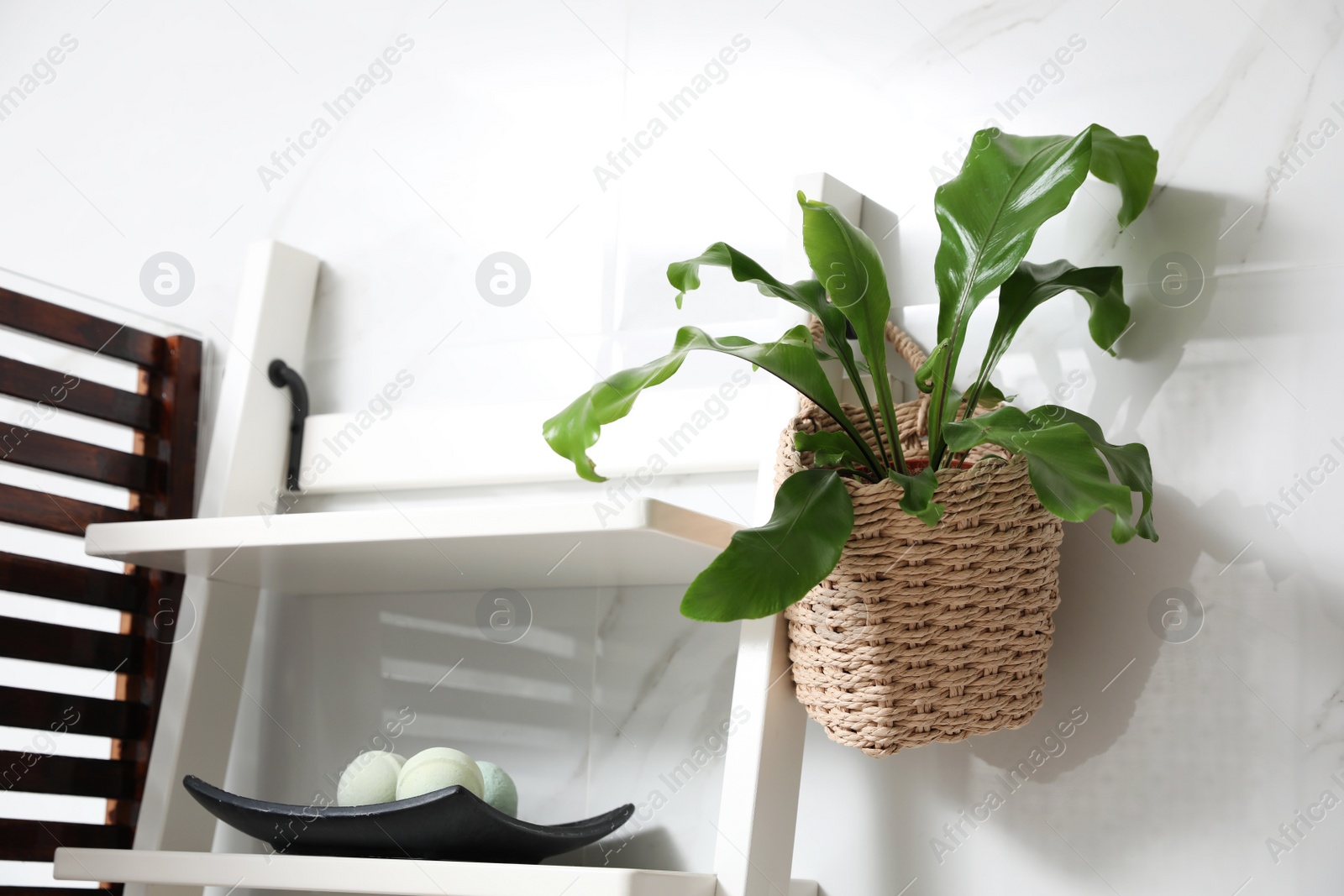 Photo of Beautiful green fern hanging from shelving unit in bathroom