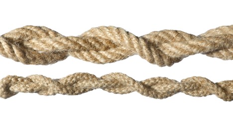 Two hemp ropes with knots isolated on white