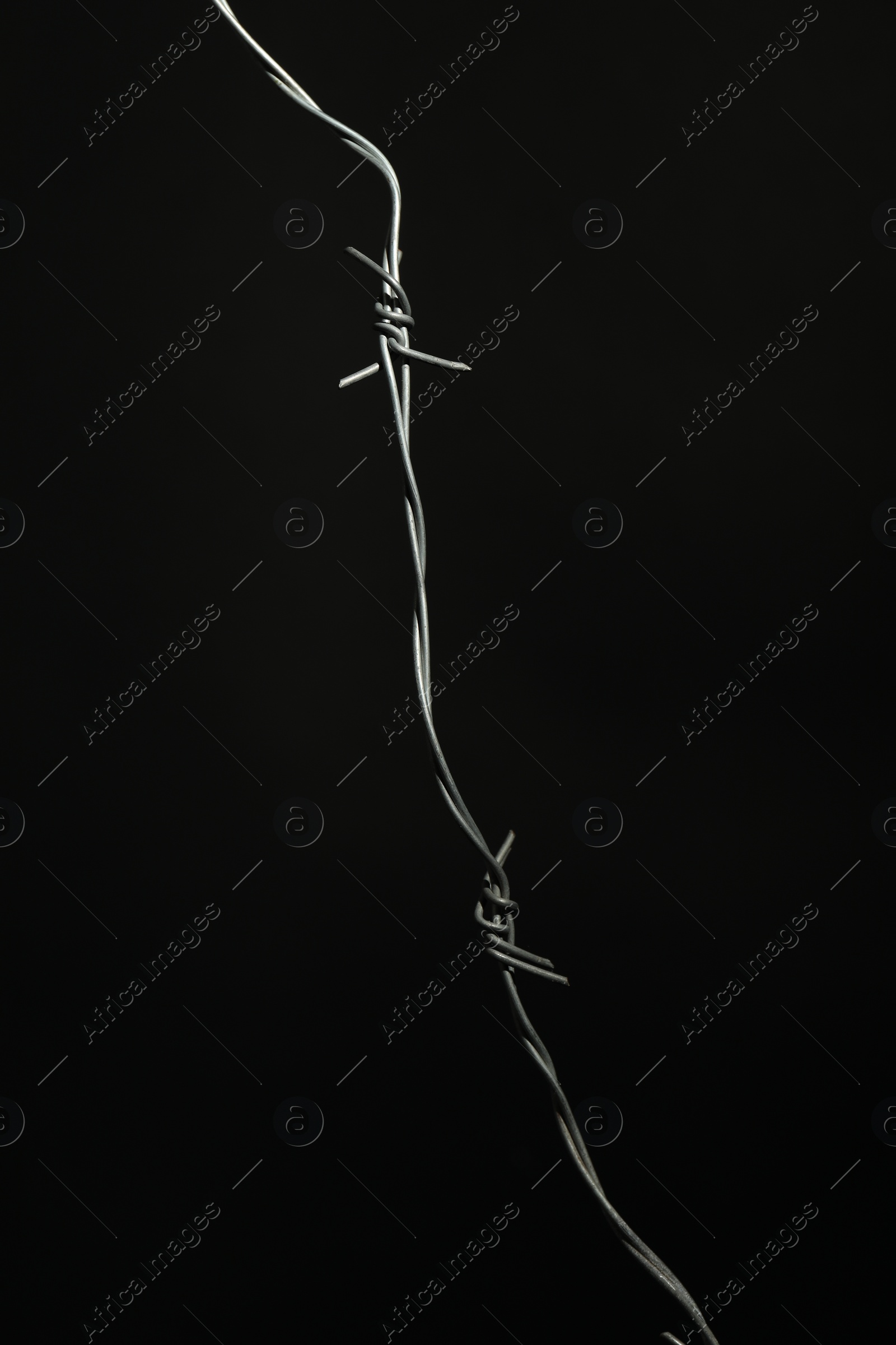 Photo of Shiny metal barbed wire on black background