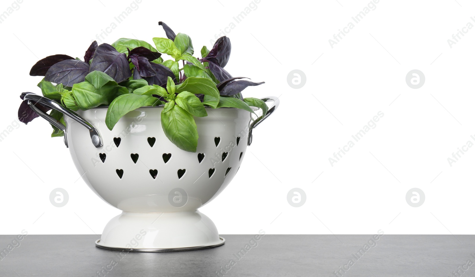 Photo of Colander with fresh basil leaves on grey table against white background. Space for text