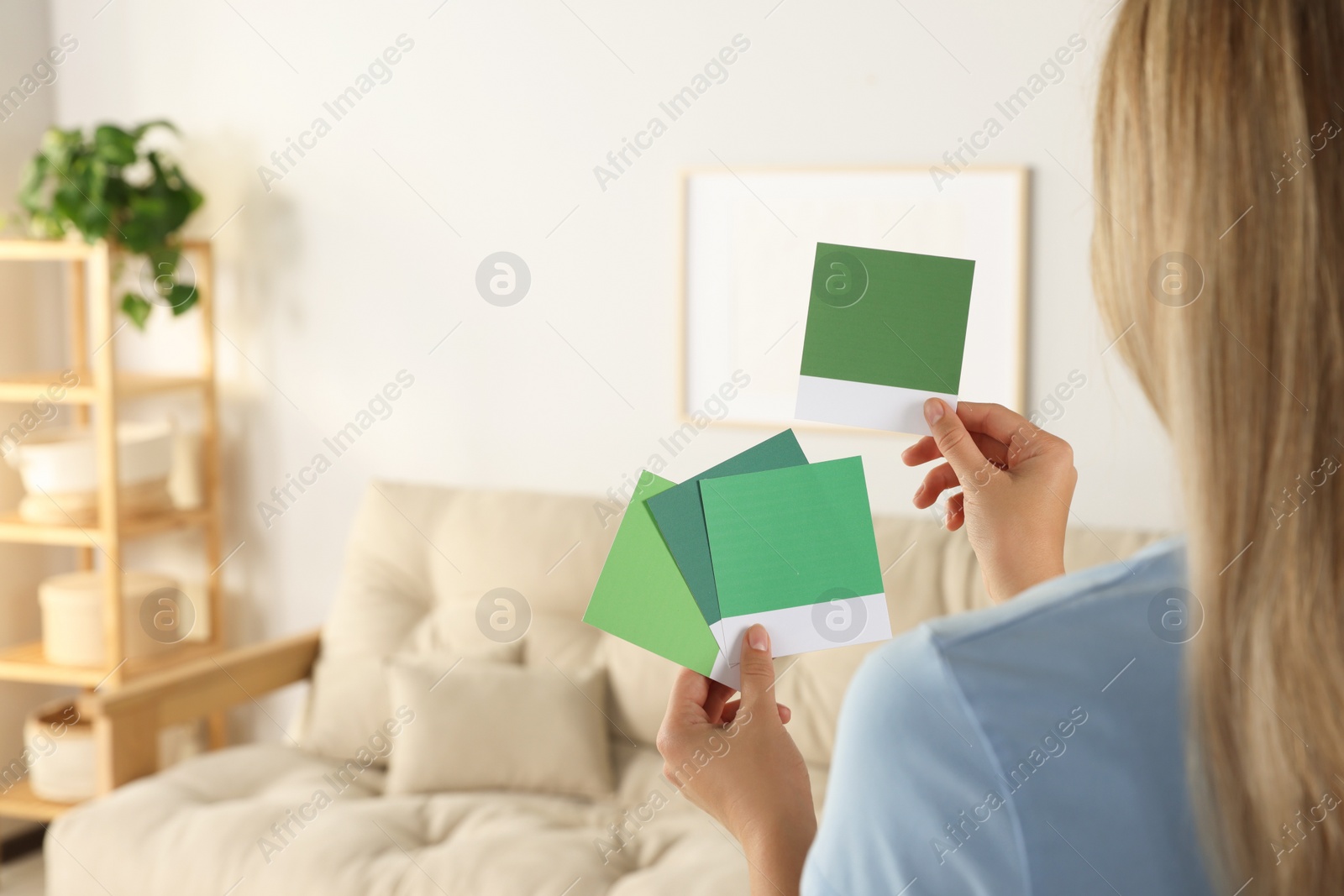 Photo of Woman choosing paint shade for wall in room, focus on hands with color sample cards. Interior design