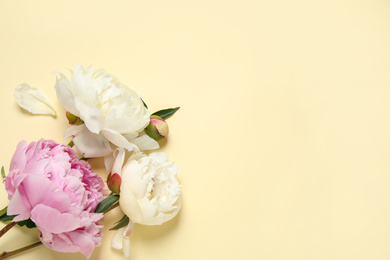 Beautiful peonies on beige background, flat lay. Space for text