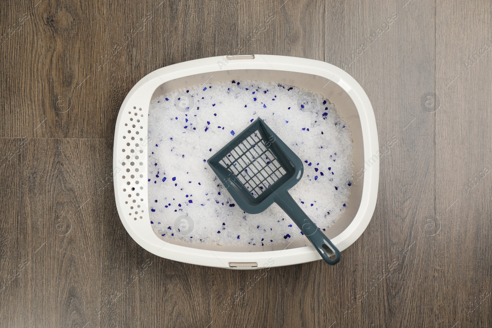 Photo of Cat litter tray with filler and scoop on wooden floor, top view