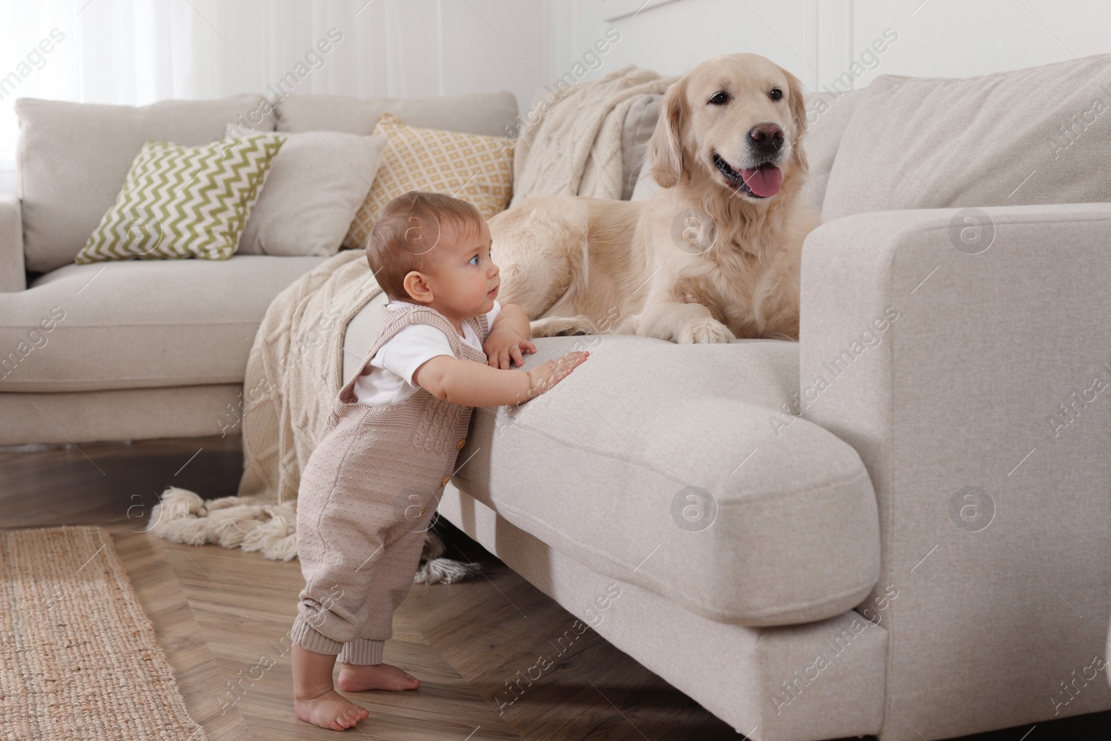 Photo of Cute little baby with adorable dog at home