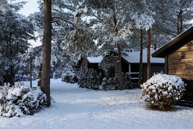 Photo of Winter landscape with wooden houses, trees and bushes in morning