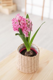 Photo of Beautiful hyacinth in wicker pot on wooden  table indoors. Spring flower