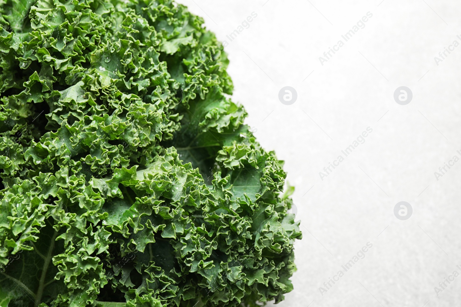 Photo of Fresh wet kale leaves on light table, closeup. Space for text