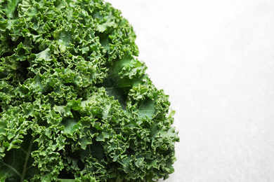 Fresh wet kale leaves on light table, closeup. Space for text