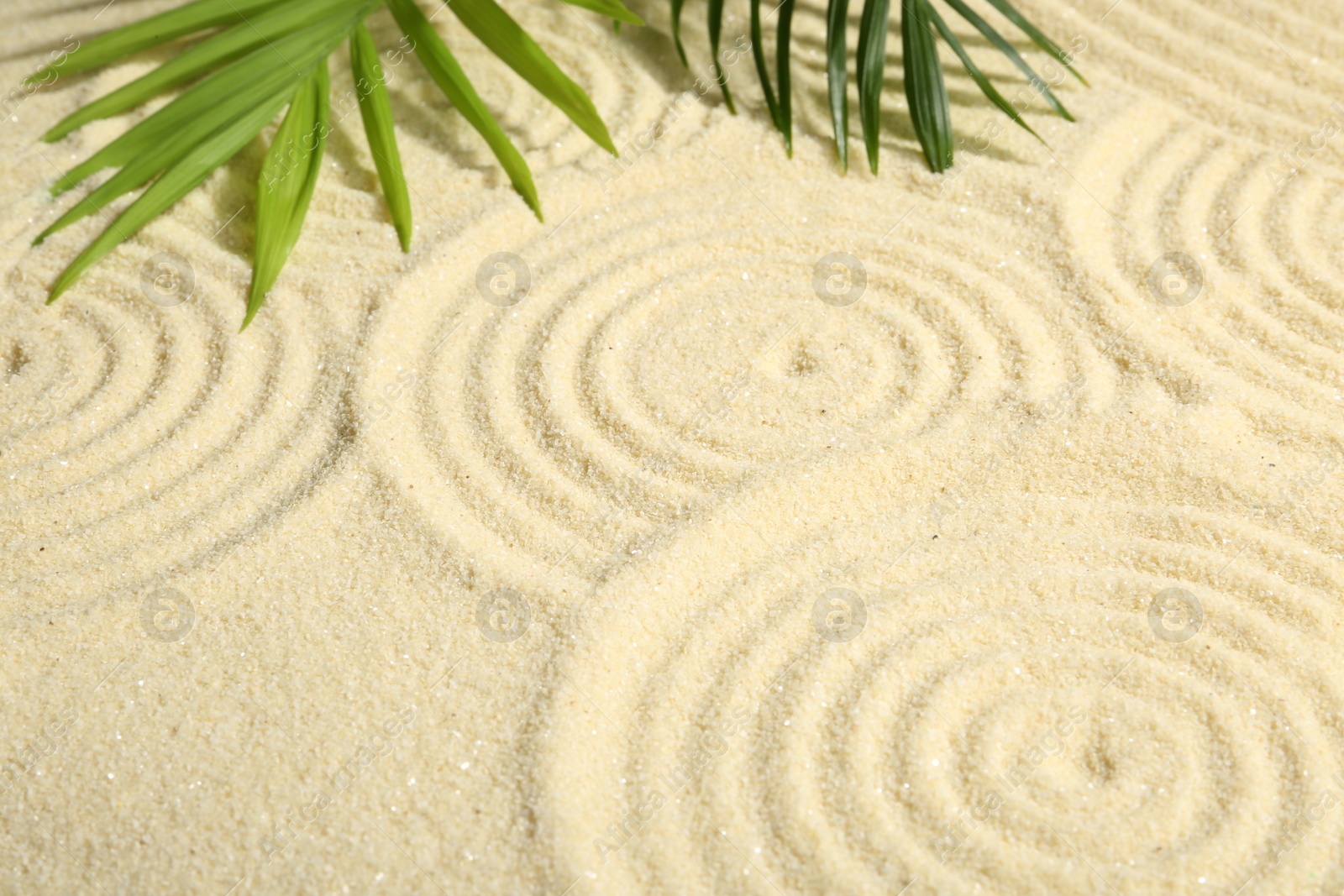 Photo of Zen rock garden. Circle patterns and green leaves on beige sand, closeup