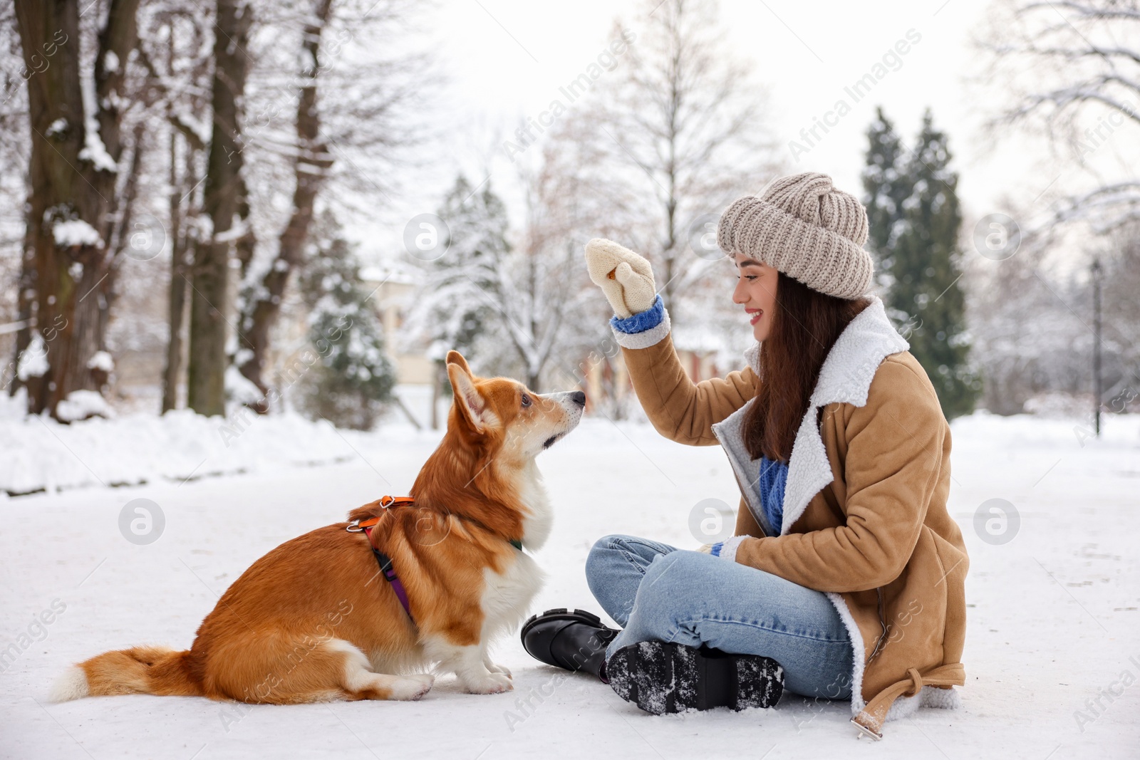 Photo of Woman with adorable Pembroke Welsh Corgi dog in snowy park