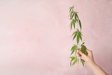 Photo of Woman holding hemp plant on light pink background, closeup. Space for text