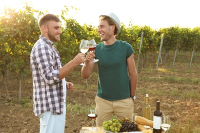 Photo of Friends holding glasses of wine and having fun on vineyard picnic