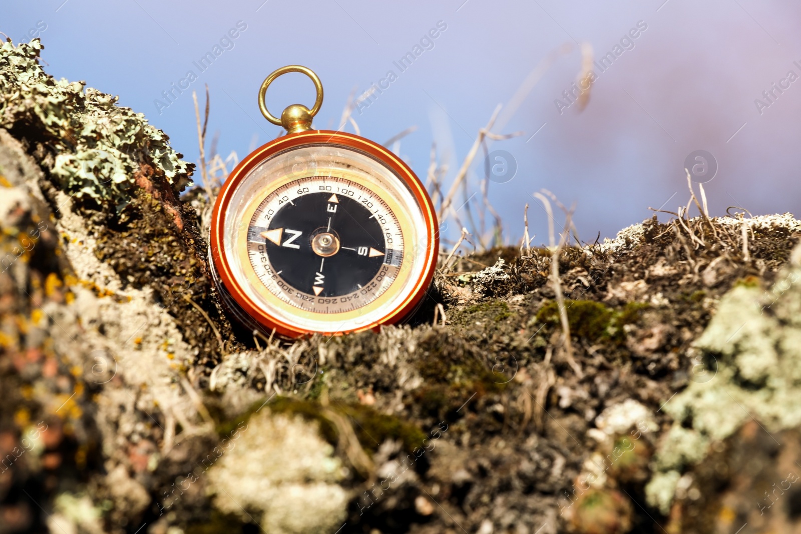 Photo of Compass on rock against blurred background, space for text. Camping equipment