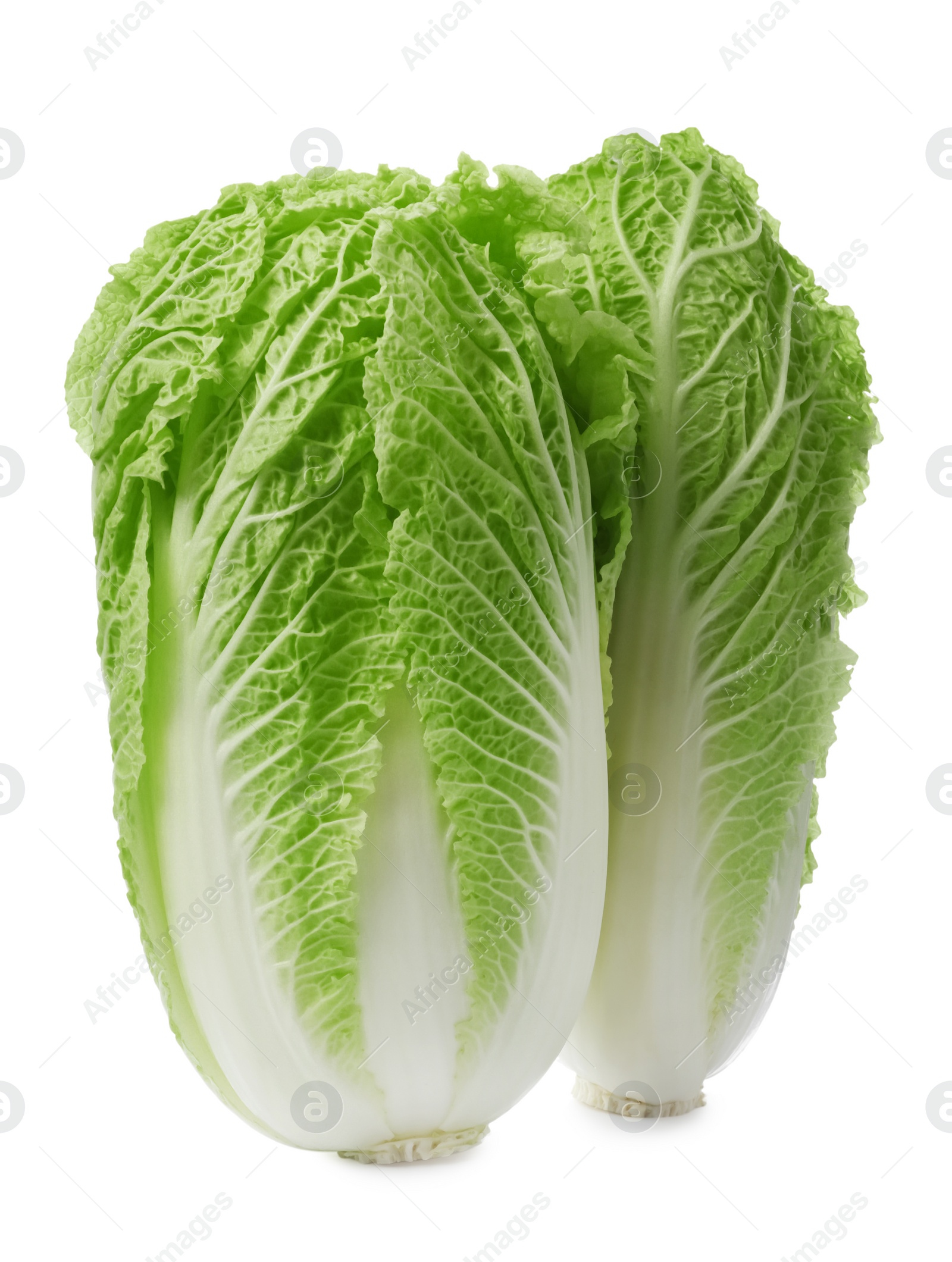 Photo of Fresh tasty Chinese cabbages on white background