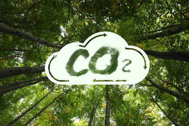 Concept of clear air. CO2 inscription in illustration of cloud with arrows and beautiful green trees, bottom view