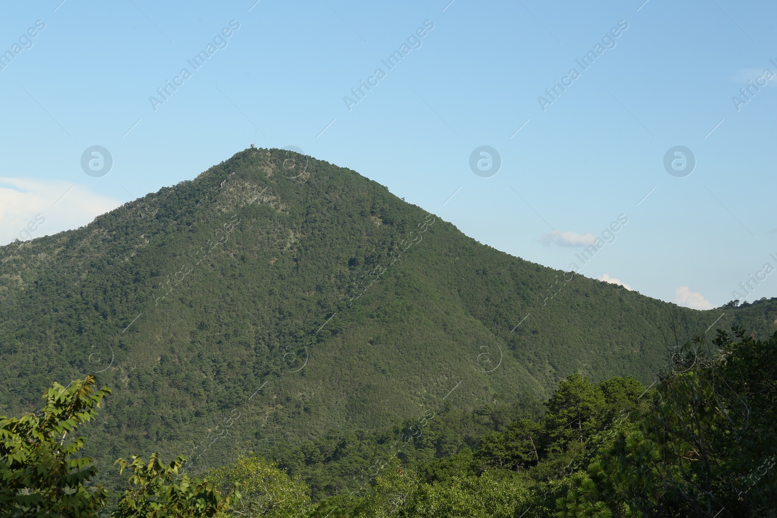 Photo of Picturesque view of big mountain and trees under blue sky