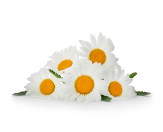 Beautiful chamomile flowers on white background