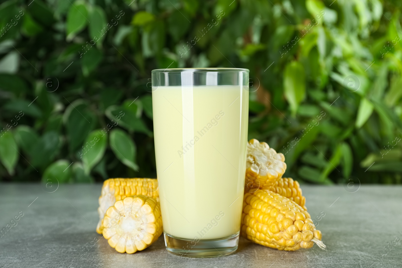 Photo of Tasty fresh corn milk and cobs on grey table against blurred background