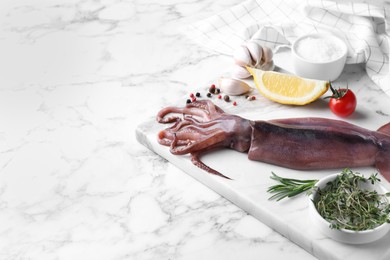 Photo of Fresh raw squid served on white marble table, space for text