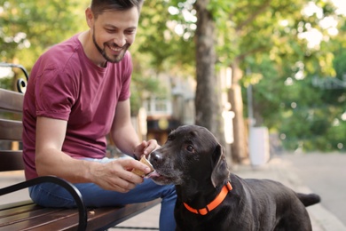 Owner treating his brown labrador retriever with ice-cream outdoors