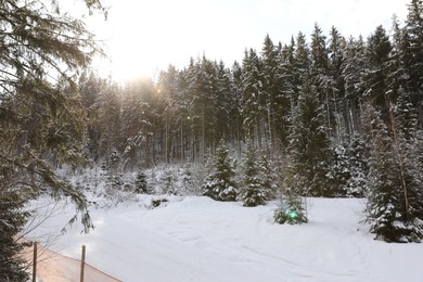 Photo of Picturesque landscape with snowy forest in winter